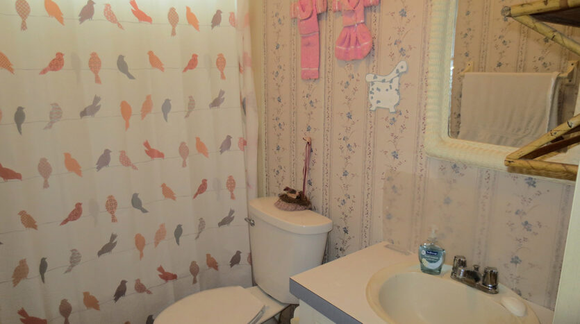 Guest Bath