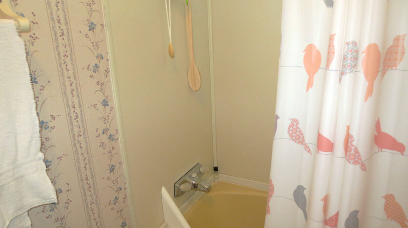 Guest Bath with Tub Shower Unit